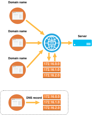 dns_schema